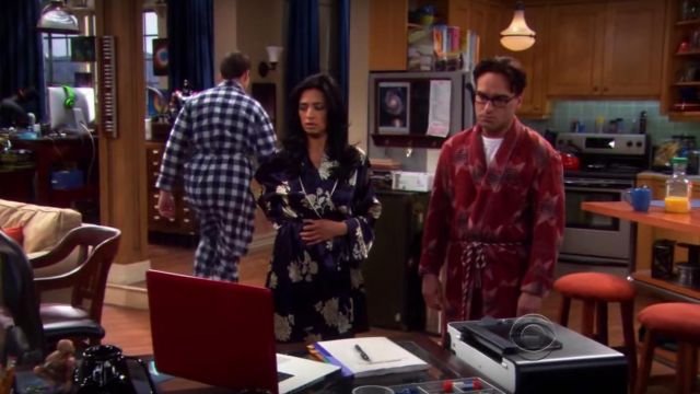 The Roommate Agreement as seen in The Big Bang Theory S04E21