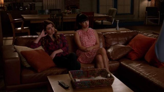 El Vestido Rosa De Rebecca Talor De Cece Parekh Hannah Simone En New Girl S06e21 Spotern 3389