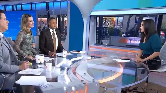 Pull à manches bouffantes Ramy Brook Rory porté par Emilie Ikeda tel que vu dans Today le 25 novembre 2025