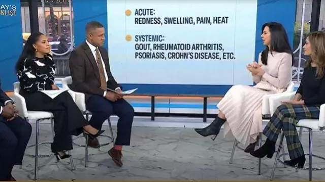 Alice + Olivia Essie Pleated Georgette Midi Skirt worn by Natalie Azar as seen in Today on November 25, 2025