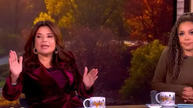 L'Agence Marie Velvet Double-Breasted Blazer worn by Ana Navarro as seen in The View on November 25, 2025