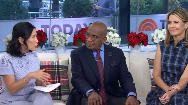 Ted Baker Stena Basket Stitch Cotton Blend Sweater worn by Vicky Nguyen as seen in Today on December 3, 2025