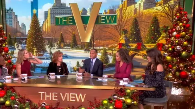 Ramy Brook Anastasia Leopard Spot Velvet Burnout One-Shoulder Midi Dress worn by Alyssa Farah Griffin as seen in The View on December 4, 2025