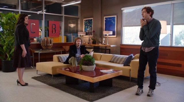 Sneakers New Balance Richard Hendricks (Thomas Middleditch) in Silicon Valley S3E10