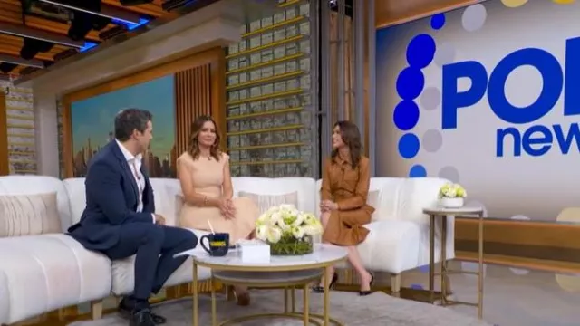 Marissa Webb Front Slit Leather Shirt Dress worn by Sophie Flay as seen in  Good Morning America on April 7, 2026 | Spotern