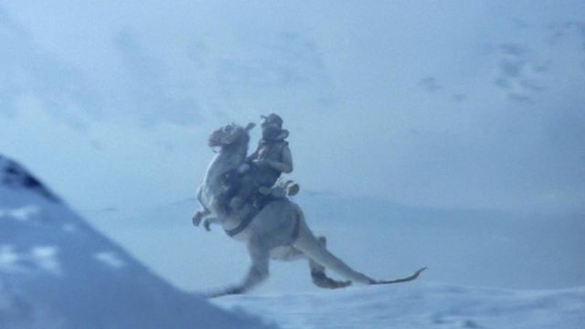 The authentic model of the Tauntaun in Star Wars V : The empire against attack