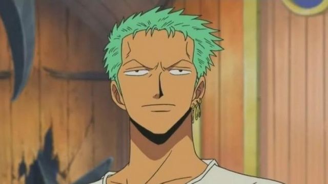 The earrings of Roronoa Zoro in One Piece | Spotern