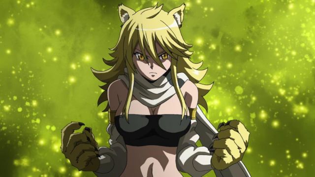 Akame Ga Kill! Night Raid Leone Ears Tail Cosplay Accessory Prop