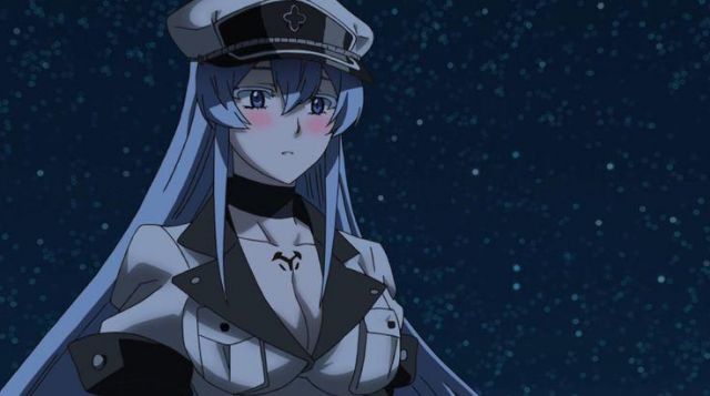 Akame ga kill The Anime With Esdeath in it 