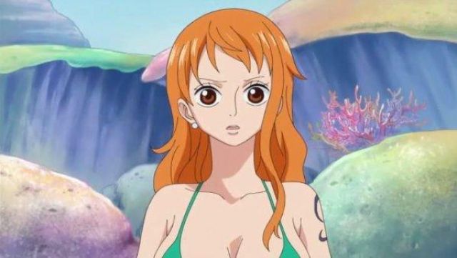 The wig redhead of Nami in One Piece Spotern