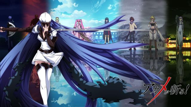 The wig jaegers in'akame ga Kill!