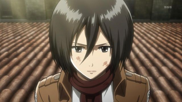 A wig of Mikasa in The Attack of the Titans
