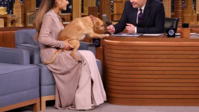 The shoes golden brown Ariana Grande on The Tonight Show Starring Jimmy Fallon