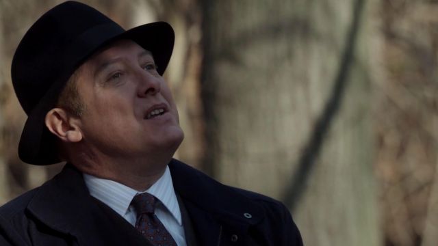 Le chapeau Fedora Stetson porté par Raymond Reddington (James Spader) dans la série The Blacklist (Saison 3 Episode 12)