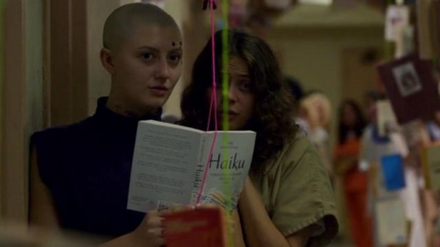 The book "the essence of Haiku" seen in Orange is the New Black S05E07