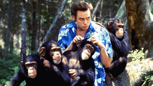 The hawaiian shirt blue Ace Ventura (Jim Carrey) in Ace Ventura Africa