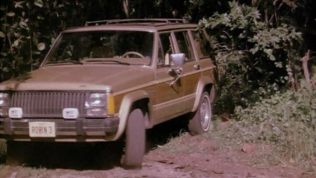 L'authentique plaque minéralogique "ROBIN 3" de la Jeep Wagoneer de Thomas Magnum (Tom Selleck) dans Magnum S02E07