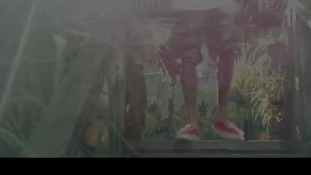Les Vans dans le clip Hookah de Tyga