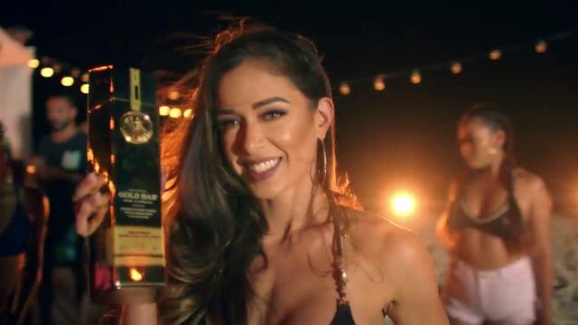 The bottle of whisky Gold Bar in the clip Body Sean Paul feat Migos