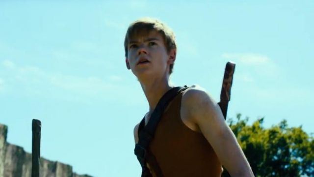 Le d bardeur marron de Newt Thomas Brodie Sangster dans Le