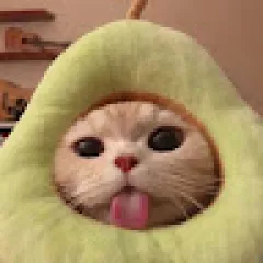 T J