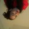 ema farah boutajine