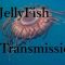 JellyFish Transmission