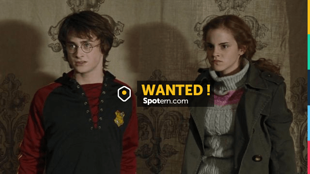 L'écharpe Gryffondor portée par Hermione Granger (Emma Watson) dans Harry  Potter à l'école des sorciers