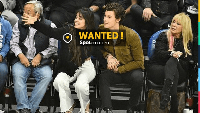 Shawn Mendes Staples Center Bag Policy