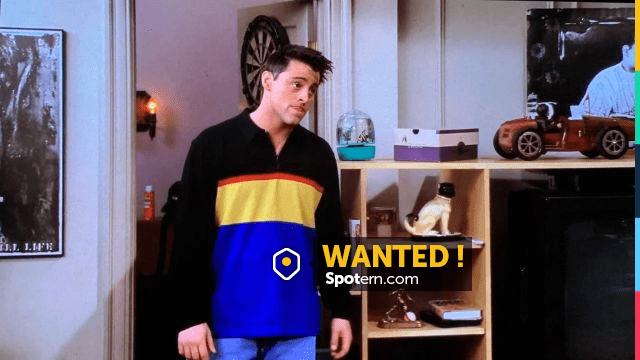 joey sweaters friends