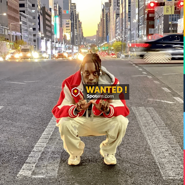 The red and white US university style jacket with bear or red panda