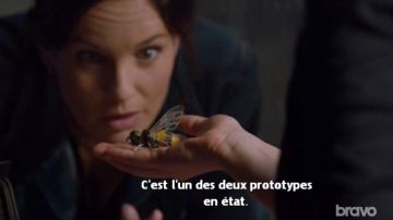 El mini dron abeja APIS en Colony
