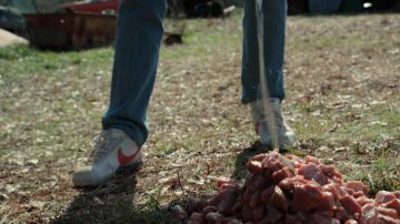 The Nike sneakers from Steve Harrington (Joe Keery) in Stranger Things S02E06