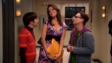 The big bang theory s1 e15 new arrivals