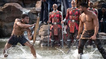 The shorts You Challa / black Panther (Chadwick Boseman) in a Black Panther