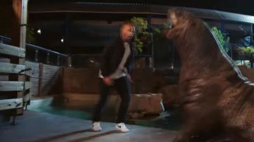 The jacket Sylvain Marot (Franck Gastambide) in Taxi 5