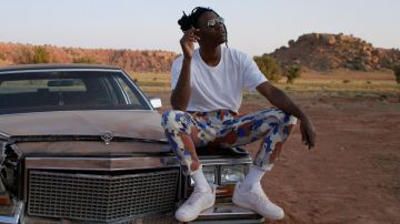 Pantalones camuflaje usados por Leon (Joey Bada$$) como se ve en Mr Robot S03E07