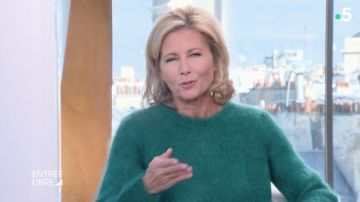 The green sweater worn by Claire Chazal in Free admission to the November 12, 2018