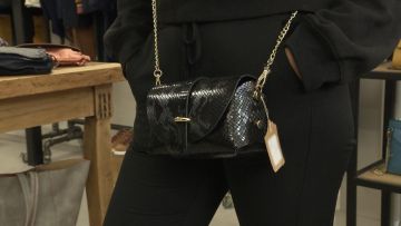 Le petit sac bandoulière à rabat boucle en python bleuté de Céline dans Les reines du shopping