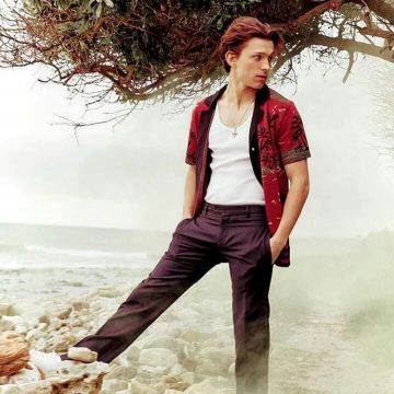 Camisa roja de manga corta con motivo isleño y cuello negro que lució Tom Holland en la cuenta de Instagram de @tomholland2013
