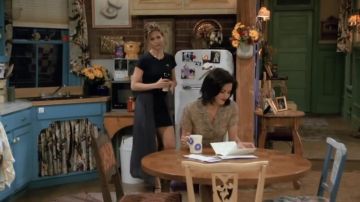 La jupe portée par Rachel Green (Jennifer Aniston) dans Friends (S01E24)
