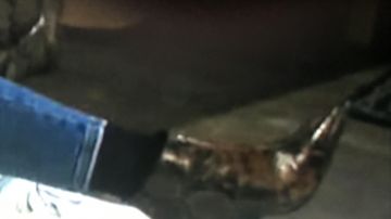 Boots worn by Ciara Brady (Victoria Konefal) on Days of Our Lives 9-17-19 episode 5020