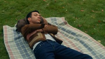 Light blue and pink plaid blanket used by Theodore Finch (Justice Smith) in All the bright places