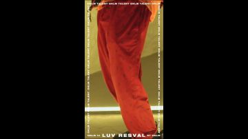 The orange pants pattern worn by Luv Resval in her video clip Skywalker #TalentOKLM