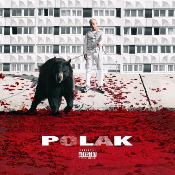 Les sneakers portées par PLK sur la cover de son album Polak