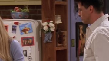 Wall Pocket (vase) de Monica Geller (Courteney Cox) dans Friends (S08E02)
