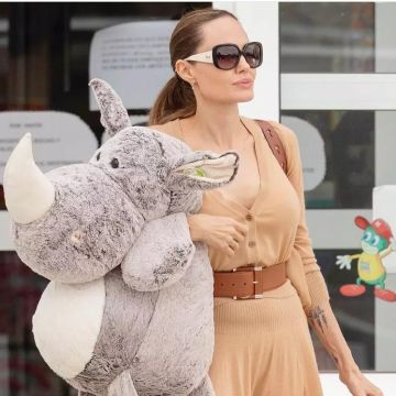 Robe en laine portée par Angelina Jolie comme on le voit sur le compte Instagram de @angelinajolie_offiicial