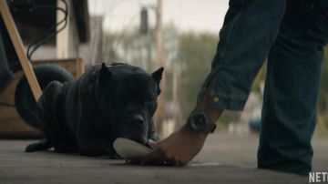 Watch worn by Rahul Kohli as seen in Midnight Mass TV series (Season 1)