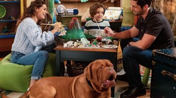 Black sneakers worn by Scott Turner (Josh Peck) as seen in Turner & Hooch outfits (S01E03)