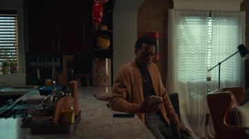 Quilted jacket worn by Carlton (Wesley Snipes) as seen in True Story TV series outfits (Season 1 Episode 3)
